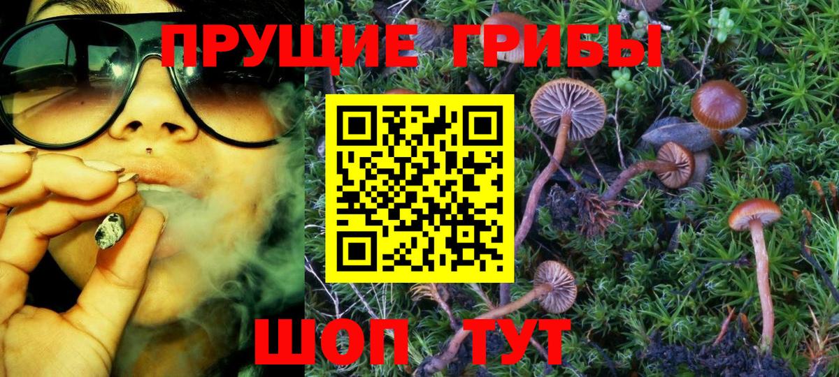 Псилоцибиновые грибы Magic Shrooms Сарапул