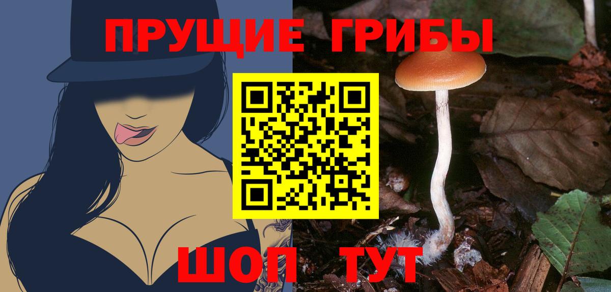 Сарапул  сколько стоит  Вход с VPN  Галлюциногенные грибы Psilocybe 